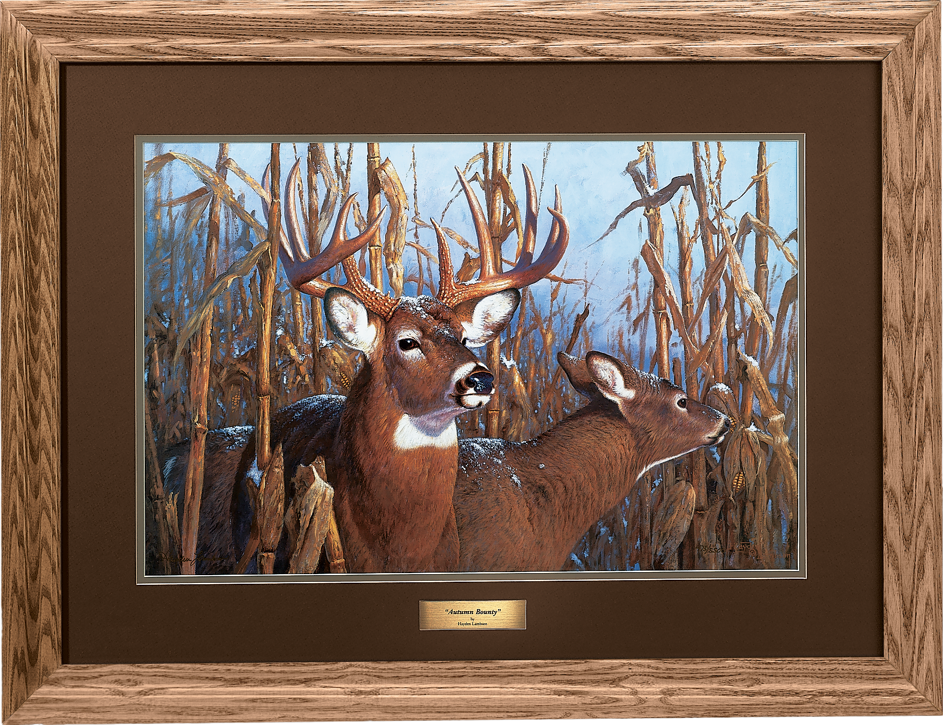 Hayden Lambson Limited Edition Autumn's Bounty Whitetail Framed Print ...